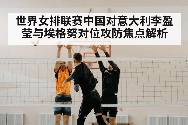 volleyball block net